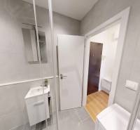 Koupelna v garsonce s umyvadlem, zrcadlem, sprchovým koutem a dveřmi do chodby.