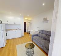 Interiér garsonky s bílou kuchyní, gaučem a podlahou s dřevěným dekorem.