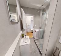 Koupelna v garsonce s umyvadlem, sprchovým koutem a podlahou s dřevěným dekorem.