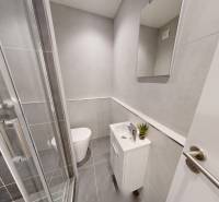 Koupelna v garsonce s umyvadlem, sprchovým koutem a toaletou.