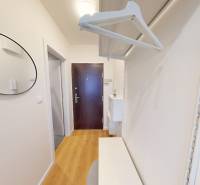 Garsonka se zrcadlem, věšákem a podlahou s dřevěným dekorem.