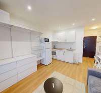 Garsonka s bílým nábytkem, kuchyňskou linkou, podlaha s dřevěným dekorem.