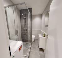 Koupelna v garsonce s proskleným sprchovým koutem, pračkou a umyvadlem s úložným prostorem.