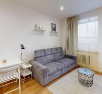 Garsonka s šedou pohovkou, bílým stolkem a podlahou s dřevěným dekorem.