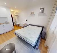 Garsonka s rozkládací pohovkou, kuchyňskou linkou a podlahou s dřevěným dekorem.