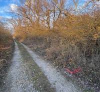Lesní cesta mezi keři a vysokými stromy na Rekreačních pozemcích v Nové Vsi nad Váhem.