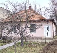 Rodinný dům na ulici 29. srpna v Levicích obklopují stromy a zahrada.