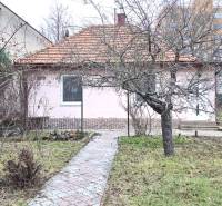 Rodinný dům v Levicích na ulici 29. srpna s předzahrádkou a stromy.