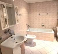 Koupelna s vanou, umyvadlem a zrcadlovou skříňkou v rodinném domě.