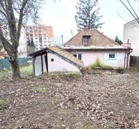 Zahrada a starší rodinný dům na ulici 29. srpna v Levicích.