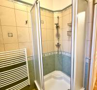 Koupelna se sprchovým koutem a obklady ve 4pokojovém bytě.