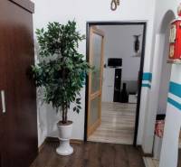 Interiér 3-pokojového bytu s rostlinou, podlahou s dřevěným dekorem a průchodem do další místnosti.