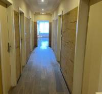 Chodba se vstupy do místností ve 4pokojovém bytě, podlaha s dřevěným dekorem.