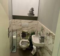 Koupelna ve 4-pokojovém bytě s mramorovými obklady a moderním umyvadlem.