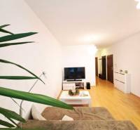 Obývací pokoj v 2pokojovém bytě s podlahou s dřevěným dekorem, TV a pohodlnou pohovkou.