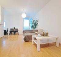 Obývací pokoj v 2-pokojovém bytě s podlahou s dřevěným dekorem, pohovka a konferenční stolek.