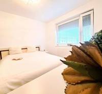 Světlá ložnice s velkou postelí, knihou a rostlinou v 2pokojovém bytě.