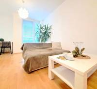 Obývací pokoj v 2-pokojovém bytě s podlahou s dřevěným dekorem, sedačkou a stolkem.