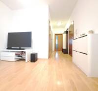 Obývací pokoj v 2-pokojovém bytě s televizorem a podlahou s dřevěným dekorem.