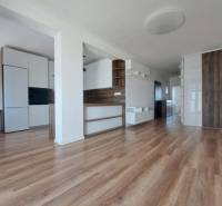 Interiér 2-pokojového bytu s podlahou s dřevěným dekorem a vestavěnými skříněmi.