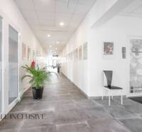 Světlá chodba s květinou a obrazy, na ulici Vajanského, vhodná pro obchodní prostory.