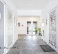 Světlý interiér s dveřmi do obchodních prostor na ulici Vajanského s přítomností rostlin.