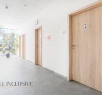 Chodba v kancelářích na Vajanského ulici v Galantě s dřevěnými dveřmi a rostlinou.