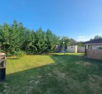 Zahrada rodinného domu v Černém Brodě s trávníkem, trampolínou a hustými jehličnany.