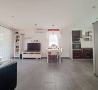 Obývací pokoj s TV, kuchyní a jídelním stolem, podlaha s dřevěným dekorem.