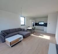 Obývací pokoj v rodinném domě s kuchyní, sedačkou a podlahou s dřevěným dekorem.