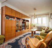 Obývací pokoj s kobercem, nábytkem ze dřeva a velkým oknem ve 3pokojovém bytě.