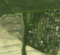 Letecký pohled na zahrady v Šaci, Košice, obklopené poli a lesem.