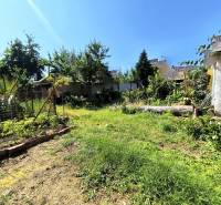 Zahrada u rodinného domu v Partizánském s rozmanitými rostlinami a travnatou plochou.