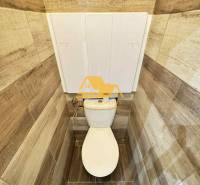 Toaleta s obklady v dekoru dřeva v 3-pokojovém bytě.