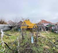 Zarostlá zahrada za rodinným domem ve Dvorech nad Žitavou s vinicí a kůlnou.