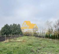 Zahrada v Dvorech nad Žitavou s trávníkem a stromy u rodinného domu.