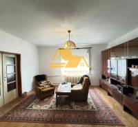 Obývací pokoj v rodinném domě s podlahou s dřevěným dekorem a bohatým nábytkem.