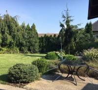 Zahrada rodinného domu v Černé Vodě s trávníkem, stromy a venkovním posezením.