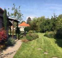 Zahrada u rodinného domu v Černé Vodě s trávníkem a zelení.