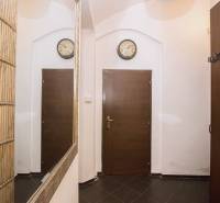 Vstupní chodba v 2pokojovém bytě s tmavou dlažbou a zrcadlem.