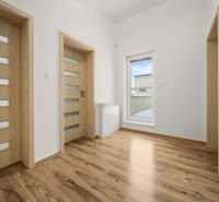 Interiér rodinného domu s podlahou s dřevěným dekorem a dveřmi s prosklením.