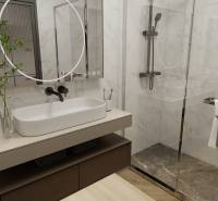 Koupelna v 3-pokojovém bytě s moderním sprchovým koutem a podlahou s dřevěným dekorem.