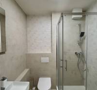 Koupelna s toaletou a moderním sprchovým koutem v 3-pokojovém bytě.