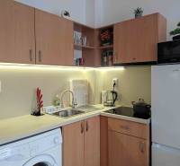 Kuchyně v rekreačním apartmánu s dřevěným dekorem, spotřebiči a dřezem.