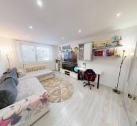 Obývací pokoj v 2-pokojovém bytě s pohodlnou sedačkou a podlahou s dřevěným dekorem.