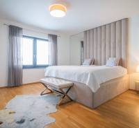 Ložnice v rodinném domě s postelí, podlahou s dřevěným dekorem a kožešinovým kobercem.