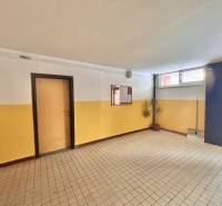 Chodba v budově 3-pokojového bytu s dlažbou, dveřmi a rostlinou v rohu.