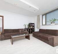 Obývací pokoj v 3-pokojovém bytě s hnědou sedačkou, stolkem, policí a rostlinami.