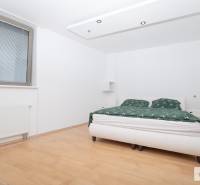 Ložnice ve 3pokojovém bytě s podlahou s dřevěným dekorem a velkou postelí.