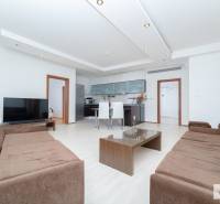 Obývací pokoj v 3-pokojovém bytě s pohovkami, televizí a kuchyní, podlaha s dřevěným dekorem.